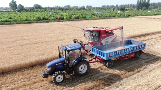 2020年度农机领域唯一国家科技进步奖，潍柴雷沃开启智慧农机“北斗”新时代